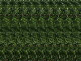 Stereogram with 7 trees...
