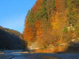 River Sense in Autumn...